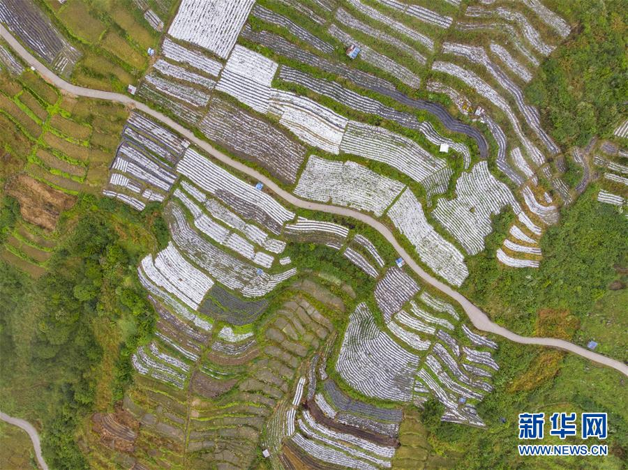 （美丽中国）（5）西藏墨脱：“莲花秘境”风景怡人