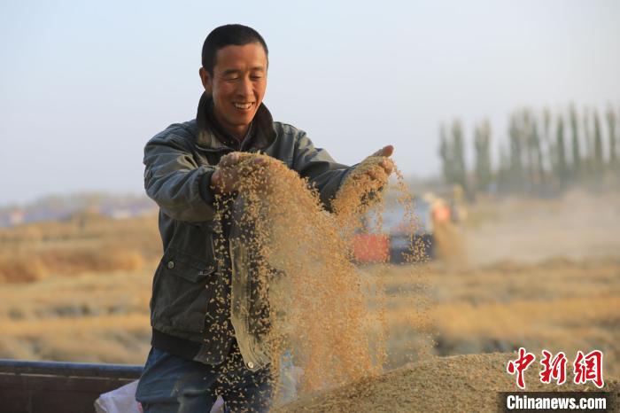 近年來，博湖縣通過土地高效流轉(zhuǎn)以及政策扶持，大力發(fā)展特色農(nóng)業(yè)，不斷深化農(nóng)業(yè)供給側改革，鼓勵村民打造品牌?！∧昀凇z