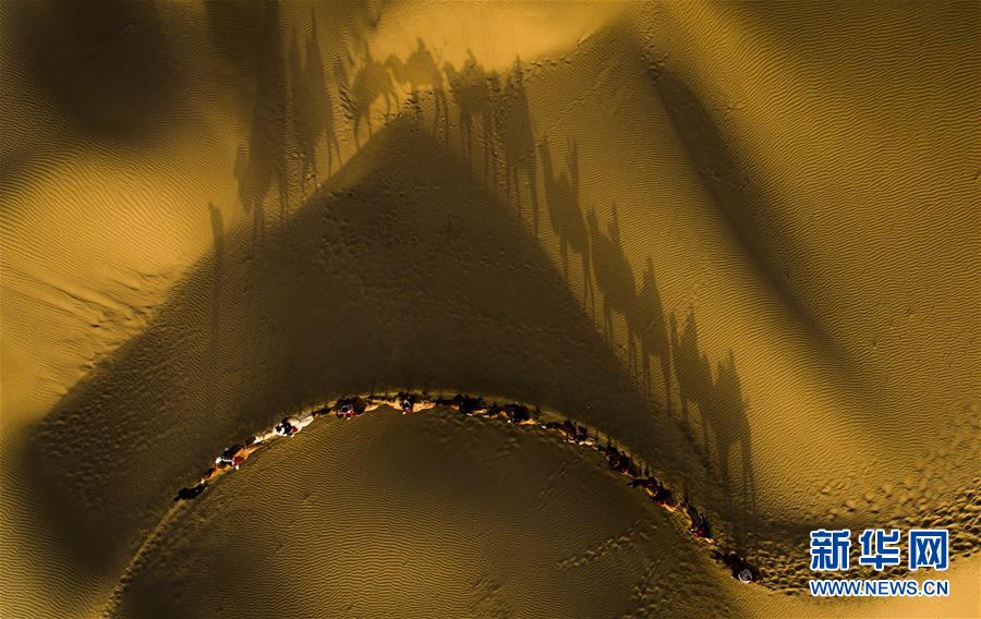 （镜观中国·新华社国内新闻照片一周精选）（2）沙漠驼影