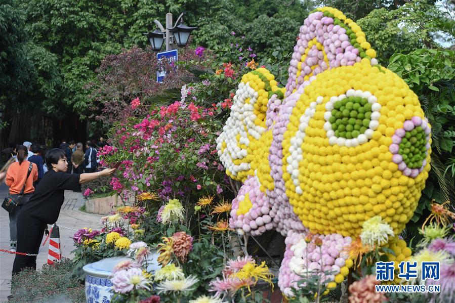 （社会）（2）福建福州：秋日赏菊