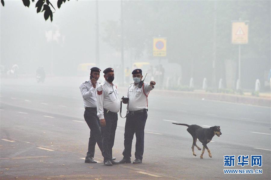（国际）（1）新德里遭遇严重空气污染