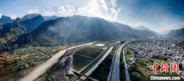 甘肅武都白龍江兩岸的河谷及半山地帶，油橄欖果成熟，遍地是“寶”?！⌒煊?攝