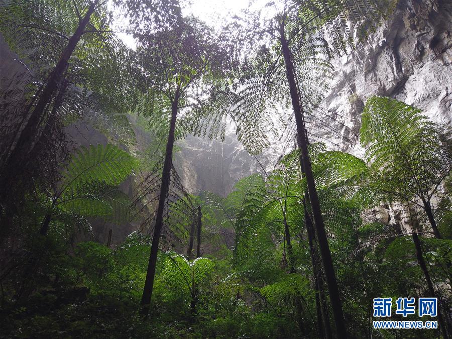 （图文互动）（4）广西那坡县发现一大型天坑群