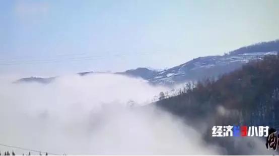 河南嵩县黄金冶炼厂违法排污 村民：小鸟喝了河水就死
