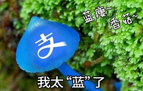 支付宝：我太“蓝”了！