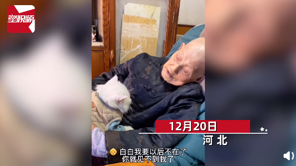 91岁的奶奶抱着8岁的猫咪聊天 网友称：看完瞬间泪崩