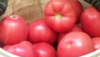 西红柿吃多了有什么坏处？外来食物传入中国顺序是什么样的？