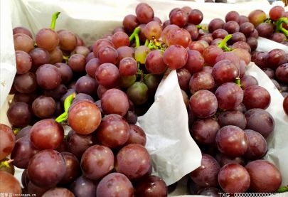 夏黑葡萄好吃吗？巨峰葡萄和夏黑哪个更好吃？